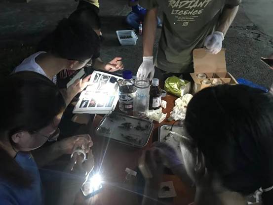 播散绿色中国“种子”——c7网页版生命科学与医药学院开展暑期社会实践 微信图片_20210728135813